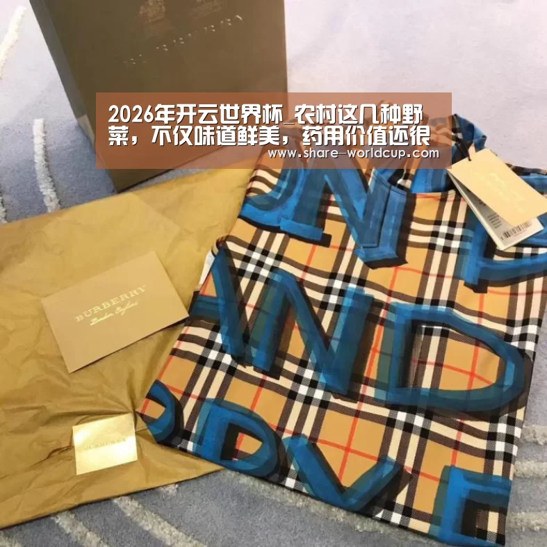 2026年开云世界杯_农村这几种野菜,不仅味道鲜美,药用价值还很高!(图3) 2026年开云世界杯