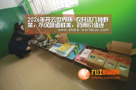 2026年开云世界杯_农村这几种野菜,不仅味道鲜美,药用价值还很高!(图4) 2026年世界杯举办时间