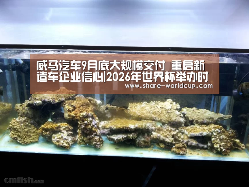 威马汽车9月底大规模交付 重启新造车企业信心|2026年世界杯举办时间(图1) 2026年开云世界杯