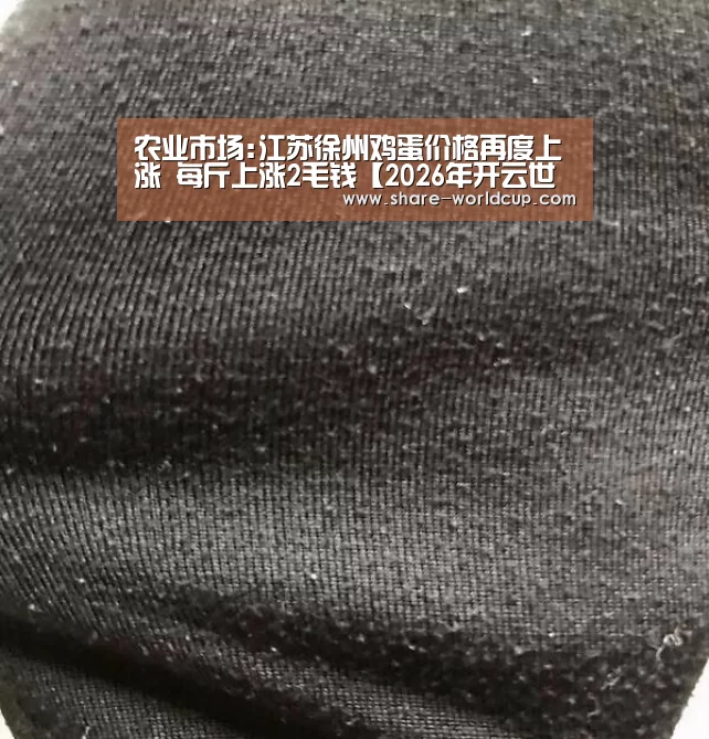 2026年世界杯赛制