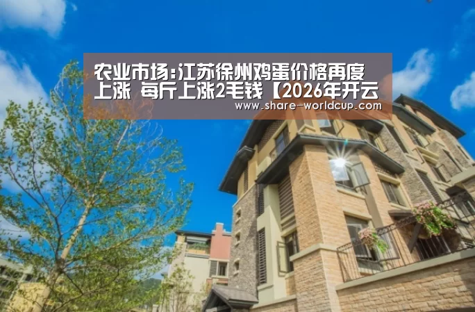 2026年开云世界杯